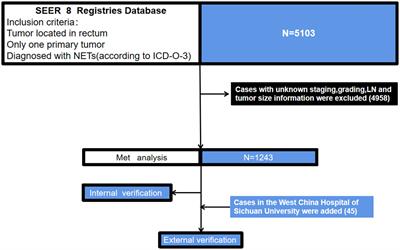 Risk factors for regional lymph node metastasis in rectal neuroendocrine tumors: a population-based study